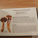 Pocket Guide to Wild Mushrooms Book Symbols Photos Cleaning Preserving Cooking 400 -Books - Survivor Hand Precision Knives & Outdoor Gear Store