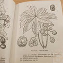 Survival Book By HQ Army Department First Aid Travelling Water Food Firemaking With 288 Page Paperback 201 -Books - Survivor Hand Precision Knives & Outdoor Gear Store