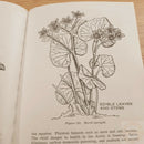 Survival Book By HQ Army Department First Aid Travelling Water Food Firemaking With 288 Page Paperback 201 -Books - Survivor Hand Precision Knives & Outdoor Gear Store