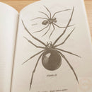 Survival Book By HQ Army Department First Aid Travelling Water Food Firemaking With 288 Page Paperback 201 -Books - Survivor Hand Precision Knives & Outdoor Gear Store