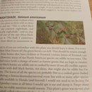Foraging For Survival Book Techniques Edible Bugs Grubs Poison Paperback 195pg 414 -Books - Survivor Hand Precision Knives & Outdoor Gear Store