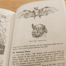 Survival Book By HQ Army Department First Aid Travelling Water Food Firemaking With 288 Page Paperback 201 -Books - Survivor Hand Precision Knives & Outdoor Gear Store