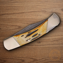 Bear & Son Midsize Folding Knife Damascus Steel Blade India Stag Bone Handle
