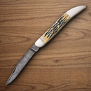 Bear & Son Folding Knife 3.75" Damascus Steel Blade India Stag Bone Handle
