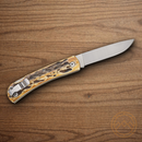 Bear & Son Lockback Folding Knife 2.63" Stainless Steel Blade India Stag Bone Handle