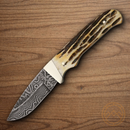 Bear & Son Skinner Fixed Knife 2.75" Damascus Steel Blade India Stag Bone Handle