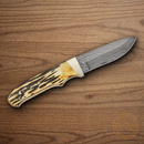 Bear & Son Pro Skinner Fixed Knife 3.63" Damascus Steel Blade India Stag Bone Handle