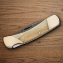 Bear & Son  Lockback Folding Knife 2.75" Damascus Steel Blade White Bone Handle