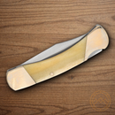 Bear & Son Lockback Folding Knife 2.75" Stainless Steel Blade White Bone Handle