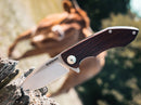Boker Arbolito Nahuel Folding Knife 3.25" Bohler N678 Steel Blade Guyacan Wood Handle