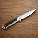 Boker Arbolito Relincho Cuerno Fixed Knife 5" Bohler N695 Steel Blade Stag Handle