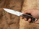 Boker Arbolito Relincho Cuerno Fixed Knife 5" Bohler N695 Steel Blade Stag Handle