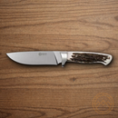 Boker Arbolito Hunter Fixed Knife 4.75" Stainless Steel Blade Stag Handle