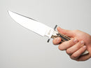 BOKER Arbolito Esculta Fixed Knife 6.13" N695 Steel Blade Stag Handle