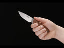 Boker Pine Creek Fixed Knife 3.63" T6MoV Steel Blade Guayacan Ebony Wood Handle