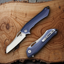 Bestech Knives Platypus Linerlock Folding Knife 3.5" D2 Tool Steel Blade Blue-Gray G10 Handle