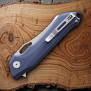 Bestech Knives Platypus Linerlock Folding Knife 3.5" D2 Tool Steel Blade Blue-Gray G10 Handle