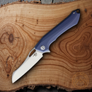 Bestech Knives Platypus Linerlock Folding Knife 3.5" D2 Tool Steel Blade Blue-Gray G10 Handle
