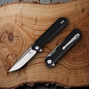 Bestech Knives Bestechman Dundee Linerlock Folding Knife 3.5" D2 Tool Steel Blade Black G10 Handle
