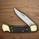Buck Hunter Folding Knife 3.75" 420HC Steel Blade Crelicam Ebony Handle