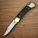 Buck Hunter Folding Knife 420HC Steel Blade Genuine Crelicam Ebony Handle