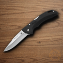 Buck Bantam BLW Folding Knife 3.13" 420HC Steel Blade Black Nylon Handle