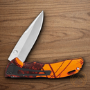 Buck Bantam BLW Folding Knife 3.13" 420HC Steel Blade Mossy Oak Break-Up camo Nylon Handle