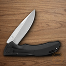 Buck Bantam BHW Folding Knife 3.75" 420HC Steel Blade Black Nylon Handle