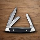 Buck Cadet Pocket Knife 420HC Steel Blades Black Valox Handle