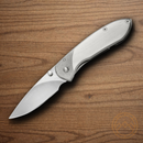 Buck Nobleman Folding Knife 2.63" Stainless Steel Blade Brushed Stainless Handle