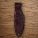 Buck Alpha Hunter Fixed Knife 3.63" S35VN Steel Blade Richlite Handle