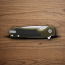 Buck Stinger Folding Knife 3" D2 Tool Steel Blade Green Aluminum/Carbon Fiber Handle