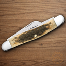 Case XX Medium Stockman Pocket Knife Carbon Steel Blades Jigged Bone Handle