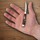 Case XX Peanut Pocket Knife Stainless Steel Clip/Pen Blades Brown Delrin Handle