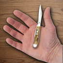 Case XX Cutlery Peanut Pocket Knife Stainless Steel Blades Genuine Stag Handle
