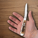 Case XX Trapper Pocket Knife Stainless Clip/Spey Blades Amber Jigged Bone Handle
