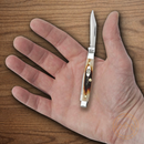Case XX Cutlery Small Pen Pocket Knife Stainless Steel Blades Red Stag Handle 09581