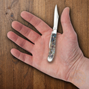 Case XX Peanut Pocket Knife Tru-Sharp Surgical Blades Genuine Smooth Abalone Handle