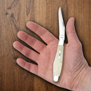Case XX Muskrat Pocket Knife Stainless Steel Blades Natural Smooth Bone Handle