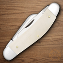 Case XX Sowbelly Pocket Knife Stainless Steel Blades Natural Smooth Bone Handle