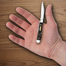 Case XX Peanut Pocket Knife Tru-Sharp Steel Blades Smooth Black Curly Oak Handle