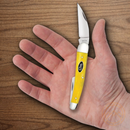 Case XX Seahorse Whittler Pocket Knife Stainless Steel Blades Smooth Bone Handle