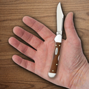 Case XX Mini CopperLock Folding Knife 2.72" Stainless Blade Chestnut Bone Handle 28704