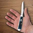Case XX Trapper Pocket Knife Stainless Steel Blades Blue Peach Seed Bone Handle