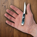 Case XX Peanut Pocket Knife Stainless Steel Clip And Pen Blades Mediterranean Blue Jigged Bone Handle 51858