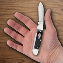 Case XX Canoe Pocket Knife 3.63" Stainless Steel Spear/Pen Blades Bone Handle