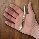 Case XX Small Texas Toothpick Folding Knife 2.25" Stainless Blade Genuine Stag Handle 5532