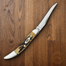 Case XX Small Texas Toothpick Folding Knife 2.25" Stainless Blade Genuine Stag Handle 5532