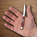 Case XX Cutlery Peanut Pocket Knife Stainless Steel Blades Red Jigged Bone Handle 00781