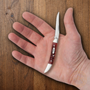 Case XX Small Texas Toothpick Folding Knife 2.25" Stainless Steel Long Clip Blade Red Jigged Bone Handle 00792